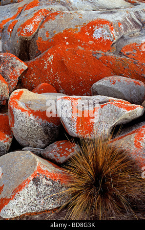 coastal red rocks Stock Photo - Alamy