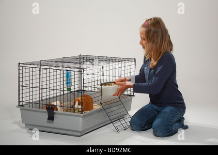 Girl and Guinea Pigs in cage bowl of food Stock Photo