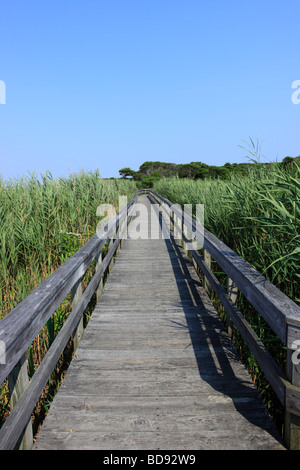 Fire Island National Seashore Ny Fire Island National Seashore Ny