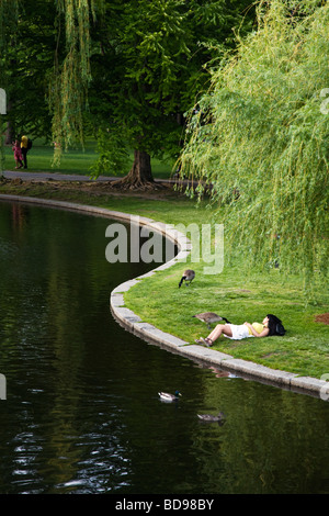 The LAGOON is a small lake in the BOSTON COMMON which is a public park BOSTON MASSACHUSETTS Stock Photo