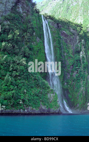 Stirling Falls Milford Sound Stock Photo
