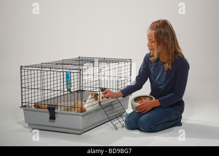 Girl and Guinea Pigs in cage bowl of food Stock Photo