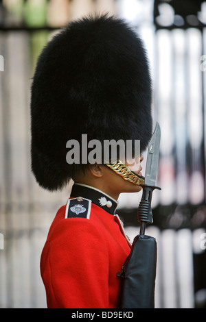 A Grenadier guardsman on sentry duty at St James Palace London Great Britain Friday July 03 2009 Stock Photo