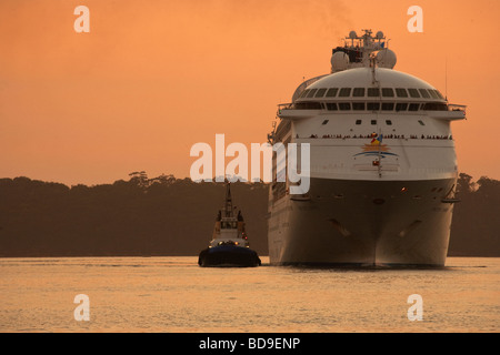 Cruise Ship Entering Sydney Harbour Stock Photo