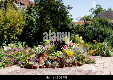 A COLOURFUL SUMMER BORDER IN AN ENGLISH COUNTRY GARDEN Stock Photo - Alamy
