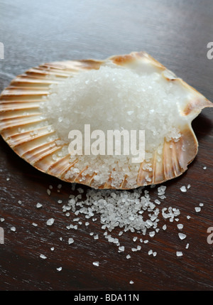 Sea Salt in shell Stock Photo