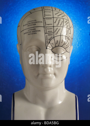 Close up of Phrenology head diagram Stock Photo