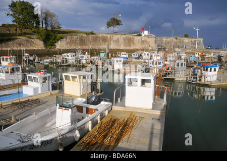 Plates, flat oyster boats, moored in the fishing port of Château d'Oléron, Ile d'Oléron, France. Stock Photo