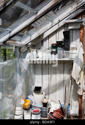 Different plastic plant pots on old messy greenhouse shelf Stock Photo