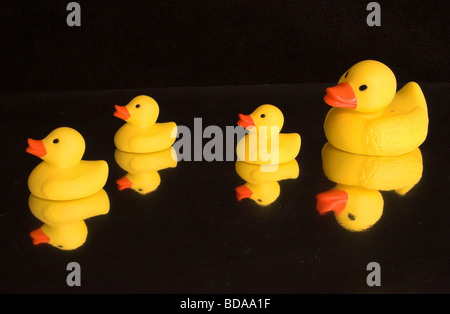 Family of rubber duck reflected in water with mother bringing up the rear - black background Stock Photo