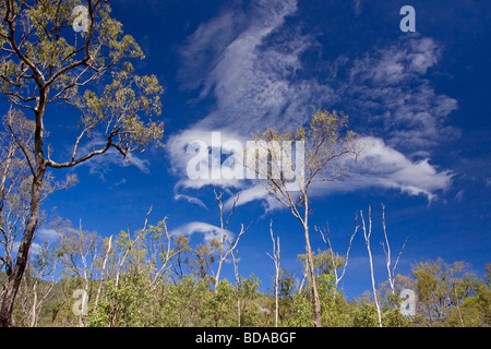 Ghost cloud Stock Photo