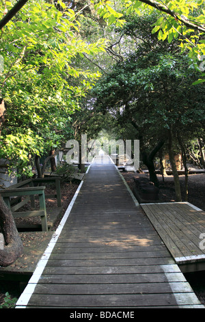 A typical street in Cherry Grove, Fire Island, a beach community on Long Island NY Stock Photo