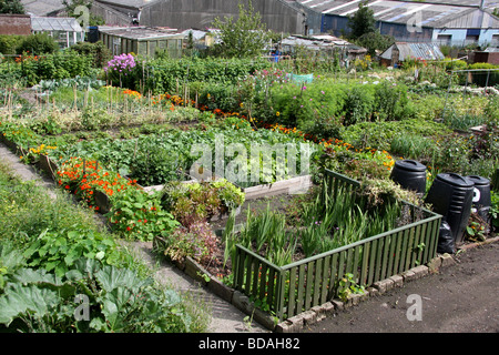 Dyson Road Allotments, Halifax, West Yorkshire Stock Photo