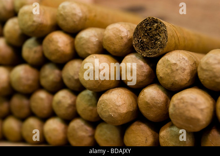 Paraphernalia at a cuban-style cigar factory in Little Havana of Miami, Florida Stock Photo