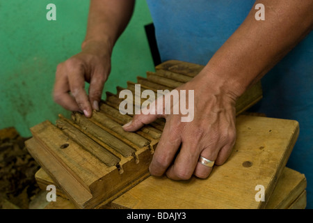 A worker in a cuban-style cigar factory in Little Havana of Miami, Florida Stock Photo