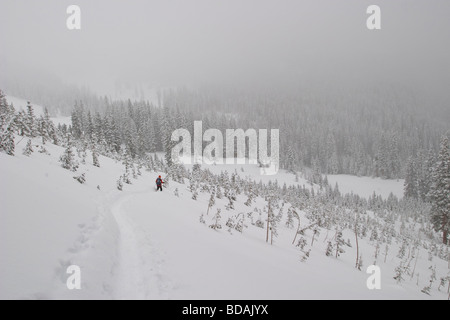 Skiers on a winter ski tour in the San Juan Mountains of SW Colorado near Telluride, Colorado. Stock Photo