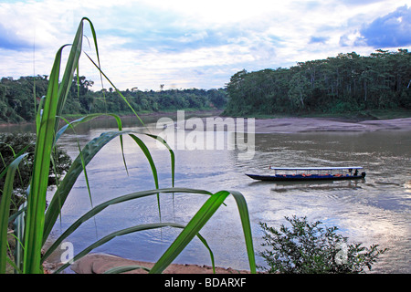 tourist boat on Tambopata River, Tambopata National Reserve, Amazon Area, Peru, South America Stock Photo