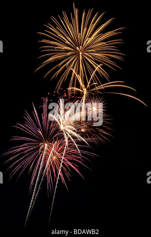 Beautiful fireworks fill the night time sky Stock Photo