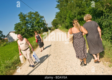 Campo of the Prevosta Garlasco province of Pavia Italy Stock Photo