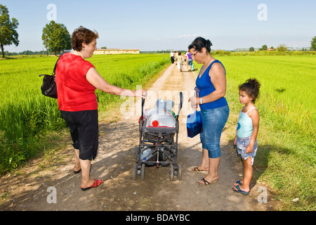 Campo of the Prevosta Garlasco province of Pavia Italy Stock Photo