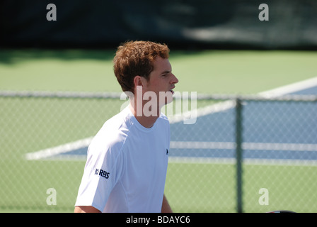 Andy Murray professional tennis player Stock Photo