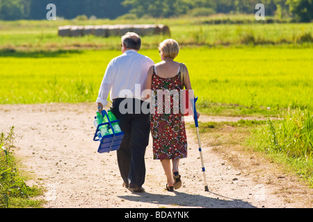 Campo of the Prevosta Garlasco province of Pavia Italy Stock Photo