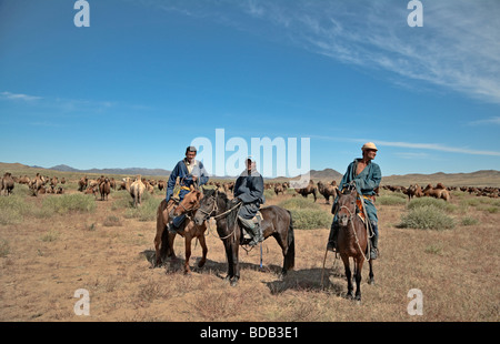 Mongolian horse herder on the steppe, Mongolia Stock Photo - Alamy