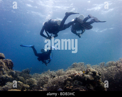 Indonesia Sulawesi Wakatobi National Park underwater young scuba divers learning to dive underwater Stock Photo