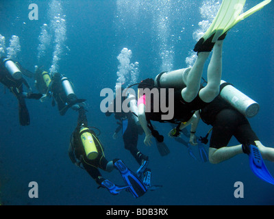 Indonesia Sulawesi Wakatobi National Park group of student open water scuba divers underwater Stock Photo