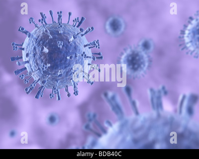 Swine Flu (Influenza) Virus (H1N1)