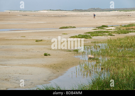 Terschelling ebb tide flood flow sea beach coast Netherlands Stock Photo