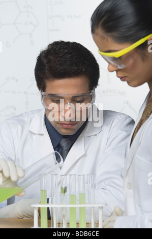 Scientists experimenting in a laboratory Stock Photo