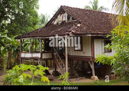 Indonesia Sulawesi Kaledupa Island Ambuea village traditional local wooden house Stock Photo