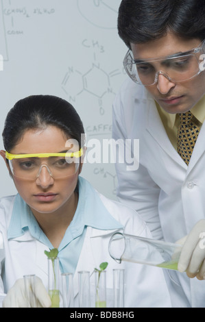 Scientists experimenting in a laboratory Stock Photo