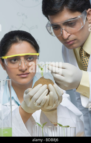 Scientists examining a plant Stock Photo