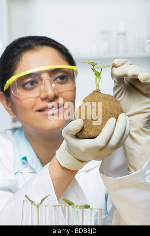 Scientist examining a plant Stock Photo