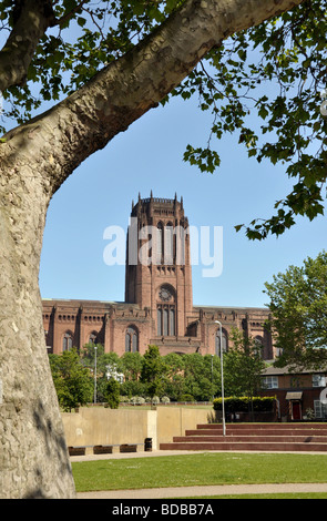 Liverpool Anglican Cathedral Stock Photo