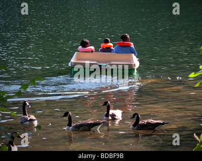Family of three sitting on paddle boat in lake with lifesavers on and moving away from camera, with ducks in foreground. Stock Photo