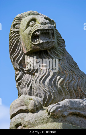 One of the stone lions outside a house in Berwick upon Tweed Stock Photo