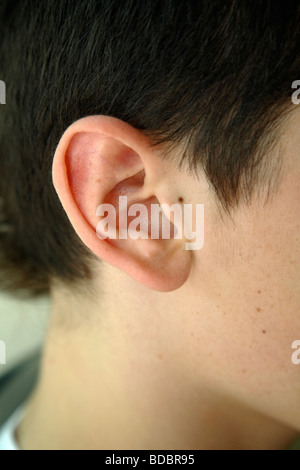closeup-of-an-ear-bdbr95.jpg