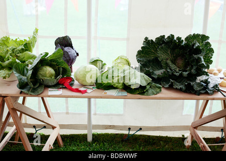Entries into the annual Village Show in Combe St. Nicholas, Somerset UK. Stock Photo