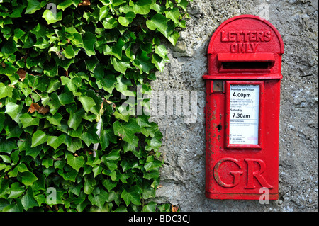 Wall mounted Royal Mail Post Box and Ivy Stock Photo