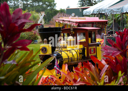 The pineapple express sets off on a tour at the Dole Plantation Oahu Hawaii Stock Photo