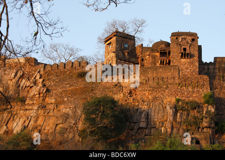Ranthambhore fort, ,at Ranthambhore Tiger Reserve, Rajasthan, India. Stock Photo