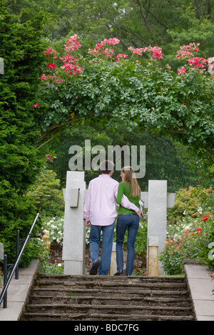 International Rose Test Garden in Portland Oregon the City of Roses Stock Photo