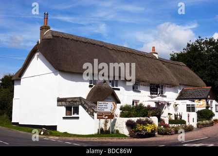 Thatched cottages at St Giles on the Heath in West Devon under blue summer sky. Stock Photo