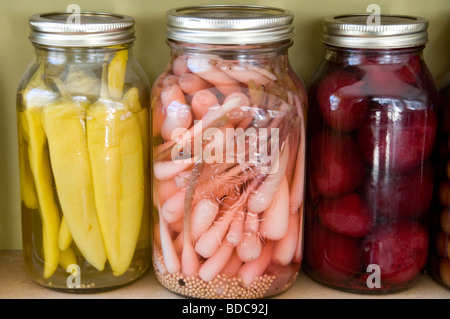 A row of pickled vegetable preserves and sauces in mason jars at a restaurant in Toronto, Canada. Stock Photo