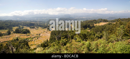 Indonesia Sulawesi Tana Toraja Lempo terraced rice paddy fields in highlands above Rantepao Stock Photo