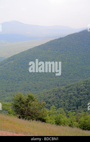 New York State Forest Ranger Kevin Slade provides guidance during an ...