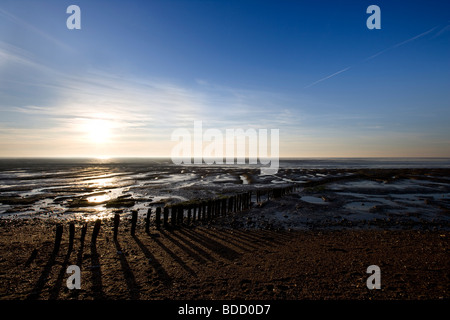 Low Tide, Heacham Beach, Norfolk, England, UK Stock Photo